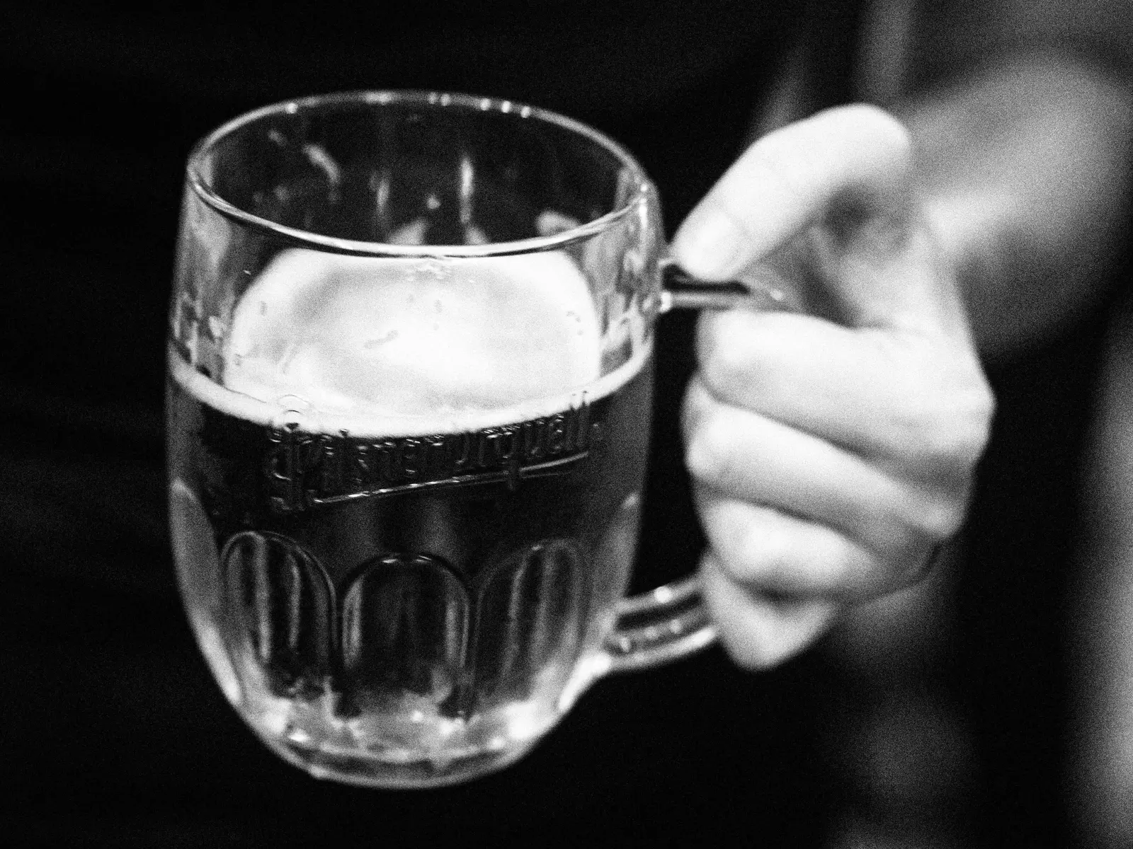 PIVO - fotografie 1
